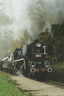 Steam Trains, Locomotive, Czech Rep., 1997, 60 X 90 Mm - Kleinformat : 2001-...