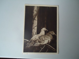 GERMANY POSTCARDS  STUTTGART BIRDS  MORE  PURHASES 10% DISCOUNT - Uccelli