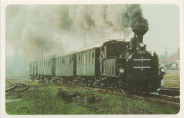 Steam Trains, Locomotive, Czech Rep., 1996, 90 X 60 Mm - Formato Piccolo : 2001-...