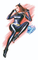 Sexy Catwoman By Ross  PHOTO Postcard - Publisher RWP 2003 - Pin-Ups