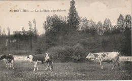 AA+ 20-(16) AUBETERRE - LA DRONNE AUX ECLUSES - TROUPEAU DE VACHES AUX PATURAGES - Autres & Non Classés