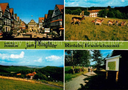 73650317 Friedrichswald Rinteln Hotel Pension Zum Pfingsttor Ortspartie Rotwild  - Rinteln