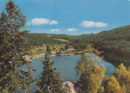 AK 216043 GERMANY - Schluchsee-Seebrugg - Jugendherberge Seebrugg - Schluchsee