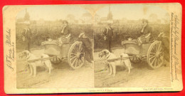 Antwerpen: Stereokaart (hard Karton): Dog Cart - Hondenkar - Laitiere Flamand (stereoscoop)(Jarvis 1889) - Stereoscopic