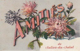 AA+ 40-(31) AMITIES DE SALIES DU SALAT - CARTE FANTAISIE COLORISEE - FLEURS CHRYSANTHEMES - Salies-du-Salat