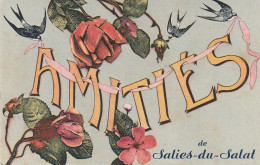 AA+ 41-(31) AMITIES DE SALIES DU SALAT - CARTE FANTAISIE COLORISEE - HIRONDELLES ET ROSES - Salies-du-Salat