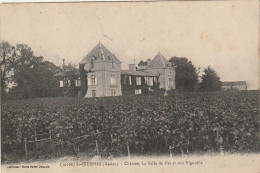 AA+ 45-(33) ST ESTEPHE - CHATEAU LA SALLE DE PEZ ET SON VIGNOBLE - Otros & Sin Clasificación