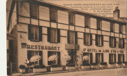 AA+ 45-(33) LANGON - GRAND HOTEL RESTAURANT DU LION D'OR - DIRECT. PROP. R. FLOURENS - Langon