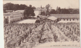 AA+ 46-(33) PAUILLAC - CHATEAU LAFITE - CHATEAU ET  VIGNOBLE - Pauillac