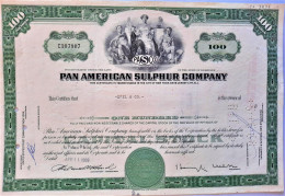 Pan American Sulphur Company - 1966 - Capital Stock - Industrie