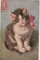 AA+ 50- PORTRAIT DE CHATON AVEC NOEUD ROSE - ILLUSTRATEUR - Katten