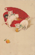 AA+ 50- GROUPE DE CHATONS DANS PANIERE JOUANT AVEC FRUITS - ILLUSTRATEUR - Gatti