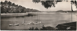 AA+ 56-(40) HOSSEGOR - LE LAC ET LA FORET - CARTE PANORAMIQUE - Hossegor