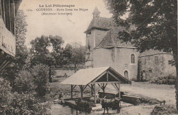 AA+62-(46) GOURDON - NOTRE DAME DES NEIGES - ANIMATION - VACHES AU LAVOIR - Gourdon