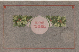 AA+ 68- " MUCHAS FELICIDADES " - CARTE FANTAISE GAUFREE AVEC HOUX - DECOR STYLE ART NOUVEAU - Sonstige & Ohne Zuordnung