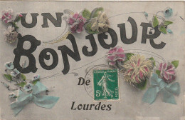 AA+ 84-(65) " UN BONJOUR DE LOURDES " - CARTE FANTAISIE COLORISEE - FLEURS - Lourdes