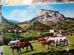 APPENNINO REGGIANO PIETRA BISMANTOVA  E CAVALLI HORSES  VB1974 JV6376 - Reggio Nell'Emilia