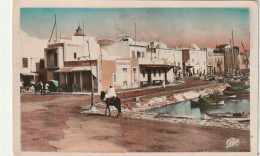 AA+ 87- BIZERTE ( TUNISIE ) - QUARTIER DU VIEUX PORT - Tunisia