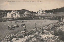 AA+ 93-(66) FONT ROMEU - LES CHALETS - ANIMATION - PAYSANS AVEC TROUPEAU DE VACHES AUX PATURAGES  - Viehzucht