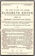 Bidprentje Meer - Koyen Elisabeth (1860-1940) - Devotieprenten