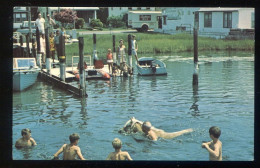 USA - Chincoteague "Cloudy"  Goes Swimming   Pony  Farm Poney - Autres & Non Classés