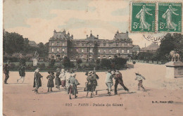 AA+ 100-(75) PALAIS DU SENAT , PARIS - ANIMATION - JEUX D'ENFANTS - CARTE COLORISEE - Paris (06)