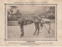 AA+ - " CHALEUR " - JUMENT APPARTENANT A  M. J. B. LEPAULMIER - SUPPLEMENT " FRANCE CHEVALINE " ( 11 AOUT 1906 ) - SULKY - Hípica