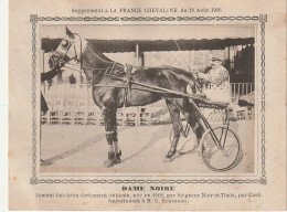 AA+ - " DAME NOIRE " - JUMENT BAI BRUN APPARTENANT A M. C. ROUSSEAU - SUPPL. " FRANCE CHEVALINE " , AOUT 1906 - SULKY - Horse Show