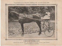 AA+ - " CRESSEVENILLES " - CHEVAL BAI APPARTENANT A M. VAILLANT - SUPPL. " FRANCE CHEVALINE " , DECEMBRE 1906 - SULKY - Hippisme