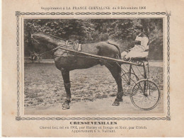 AA+ - " CRESSEVENILLES " - CHEVAL BAI APPARTENANT A M. VAILLANT - SUPPL. " FRANCE CHEVALINE " , DECEMBRE 1906 - SULKY - Hípica