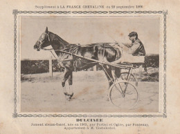 AA+ - " DULCINEE " - JUMENT ALEZANE APPARTENANT A M. COSTENOBEL - SUPPL. " FRANCE CHEVALINE " , SEPTEMBRE 1906 - SULKY - Reitsport