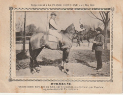 AA+ - " DORMEUSE " - JUMENT ALEZAN APPARTENANT A M. TH. LALLOUET - SUPPL. " FRANCE CHEVALINE " MAI 1906 - Horse Show