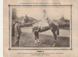 AA+ - " DIRCA " - JUMENT ALEZANE APPARTENANT A M. L. JARIEL - SUPPL. " FRANCE CHEVALINE " JUILLET 1906 - Horse Show