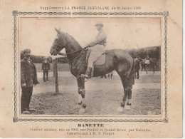 AA+ - " DANETTE " - JUMENT ALEZANE APPARTENANT A M. E. FORGET - SUPPL. " FRANCE CHEVALINE " JUILLET 1906 - Reitsport