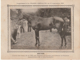 AA+ - " DEVIN " - CHEVAL BAI APPARTENANT A M. L. OLRY ROEDERER - SUPPL. FRANCE CHEVALINE SEPTEMBRE 1906 - Hípica