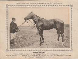 AA+ - " DAGOBERT " - CHEVAL BAI APPARTENANT A M. L. LE BOURG - SUPPL. FRANCE CHEVALINE NOVEMBRE 1906 - Hippisme