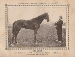 AA+ - " DIOGENE " - CHEVAL ALEZAN APPARTENANT A M. TH. LALLOUET - SUPPL. FRANCE CHEVALINE MAI 1906 - Paardensport