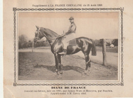 AA+ - " DIANE DE FRANCE " - JUMENT BAI BRUNE APPARTENANT A M. CAVEY AINE - SUPPL. FRANCE CHEVALINE AOUT 1906 - Paardensport