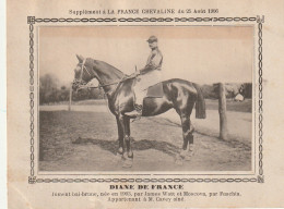 AA+ - " DIANE DE FRANCE " - JUMENT BAI BRUNE APPARTENANT A M. CAVEY AINE - SUPPL. FRANCE CHEVALINE AOUT 1906 - Horse Show
