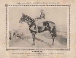 AA+ - " CORDELIA " - JUMENT BAI BRUNE APPARTENANT A M. OV. MOULINET - SUPPL. FRANCE CHEVALINE OCTOBRE 1906 - Reitsport