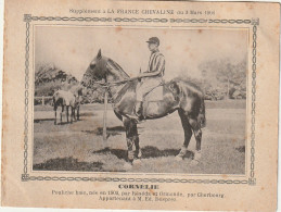AA+ - " CORNELIE " - POULICHE BAIE  APPARTENANT A M. ED. DESPREZ - SUPPL. FRANCE CHEVALINE MARS 1906 - Reitsport