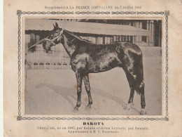 AA+ - " DAKOTA " - CHEVAL BAI  APPARTENANT A M. C. ROUSSEAU - SUPPL. FRANCE CHEVALINE  JUILLET 1906 - Hípica