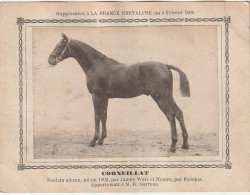 AA+ - " CORNEILLAT " - POULAIN ALEZAN  APPARTENANT A M. H. GARREAU - SUPPL. FRANCE CHEVALINE  FEVRIER 1906 - Hippisme