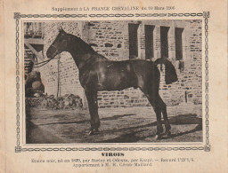 AA+ - " VIROIS " - ETALON NOIR  APPARTENANT A M. H. CERAN MAILLARD - SUPPL. FRANCE CHEVALINE MARS 1906 - Horse Show