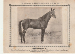 AA+ - " KIRKWOOD Jr " - CHEVAL BAI BRUN  APPARTENANT A M. J. LAMMA - SUPPL. FRANCE CHEVALINE MAI 1906 - Hípica