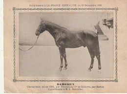 AA+ - " DAHOMEY " - CHEVAL NOIR  APPARTENANT A M. E. MARCILLAC - SUPPL. FRANCE CHEVALINE DECEMBRE 1906 - Paardensport