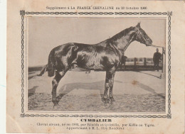 AA+ - " CYMBALIER " - CHEVAL ALEZAN  APPARTENANT A M. L. OLRY ROEDERER - SUPPL. FRANCE CHEVALINE OCTOBRE 1906 - Paardensport