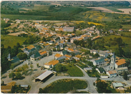 AA+ 108-(81) MIRANDOL BOURGNOUNAC - VUE GENERALE AERIENNE ET VALLEE DU VIAUR - Sonstige & Ohne Zuordnung