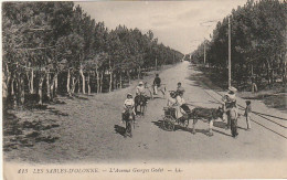 AA+ 113-(85) LES SABLES D'OLONNE - L'AVENUE GEORGES GODET - ANIMATION - ATTELAGE , ANES - Sables D'Olonne