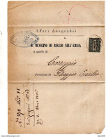 1886  LETTERA CON ANNULLO  REGGIO NELL'EMILIA - Marcophilie